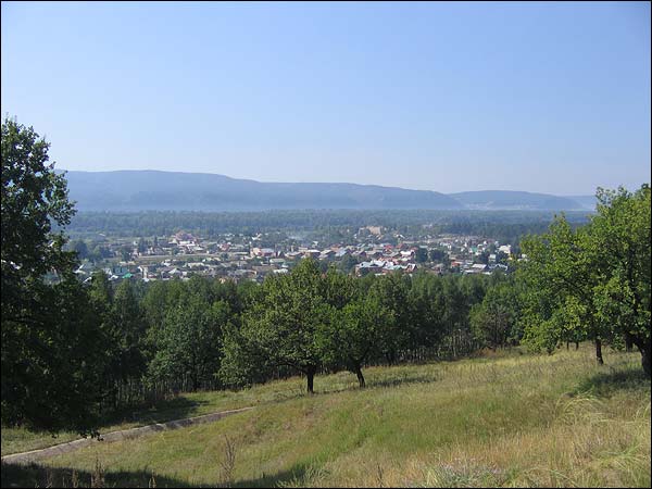 07